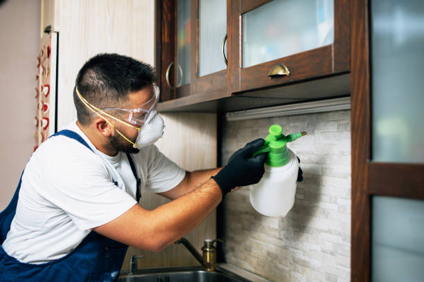 Best Termite Control Services  in Halfway House, PA