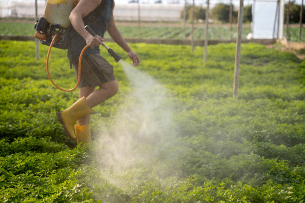 Best Best Pest Control Companies  in Halfway House, PA