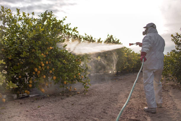 Pest Control Cost in Halfway House, PA