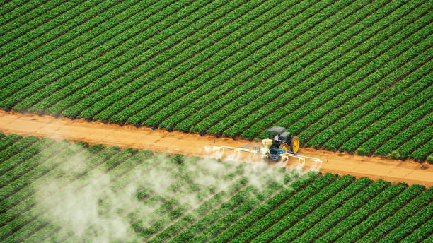 Best Mosquito Control Services  in Halfway House, PA