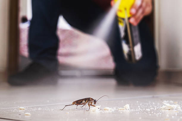 Best Pest Inspection Near Me  in Halfway House, PA